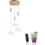 Lampa wisząca Q-ETIENNE 2078-60 2700-5000k 4x35W/LED 3550lm ip20 od Paul Neuhaus