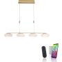 Lampa wisząca Q-ETIENNE 2079-60 2700-5000k 5x44W/LED 4500lm ip20 od Paul Neuhaus