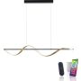 Lampa wisząca Q-SWING 2385-13 2700-5000k 1x28W/LED 3100lm ip20 od Paul Neuhaus