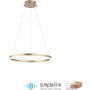 Lampa wisząca TITUS 2382-60 3000k 1x44W/LED 5250lm ip20 od Paul Neuhaus