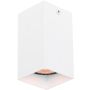 Downlight natynkowy Ander CLN-28394-S-WH 1x10W/GU10 IP20 od Italux