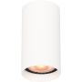Downlight natynkowy Lopus CLN-48930-S-WH 1x10W/GU10 IP20 od Italux