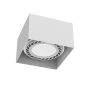 Downlight natynkowy Cage 1268 1x15W/Gu10 IP20 od Antigo