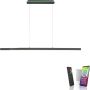 Lampa wisząca Q-ARIAN 2569-13 2700-5000k 4x55W/LED 5520lm ip20 od Paul Neuhaus