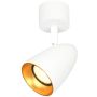 Spot Tino SPL-36748-1R-WH-GD 1x10W/GU10 IP20 od Italux