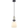 Lampa wisząca Domali PND-36816-1D-BK-WH 1x40W/E27 IP20 od Italux