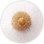 Kinkiet ALLURE W0356 3000k 1x5w/led 190lm ip20 od Maxlight