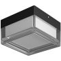 Lampa sufitowa Nefis PLF-53628-BK 1x9W/LED IP65 od Italux