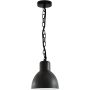 Lampa wisząca ARNE 311924 1x10W/E27 od Polux