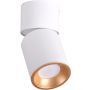Downlight natynkowy NIXA 314260 1x10W/GU10 od Polux