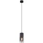 Lampa wisząca ROBIN 310600132 1x28w/e27 ip20 od Trio