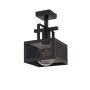 Lampa sufitowa ALBERT 32178 1x60W/E27 od Sigma Lighting