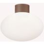 Lampa sufitowa CLIO 326795 1x42W/E27 ip44 od Ideal Lux
