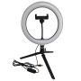 Lampka biurkowa SELFIE 327604 2700K-4000K-6000K 1x10W/LED 240lm IP20 od Polux