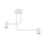 Lampa sufitowa Luis 33419 2x25W/GU10 IP20 od Sigma Lighting