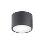 Plafon sufitowy 3886 VICHY od Argon