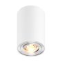 Downlight natynkowy RONDOO 45519-N 1x50W/GU10 IP20 od Zuma line