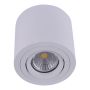 Downlight natynkowy ALMAN I. 48606 1x50W/GU10 IP20 od Prezent