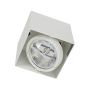 Downlight natynkowy Plaza ML4743 1x75W/GU10/ES111 IP20 od Milagro