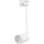 Reflektor szynowy TRACER 4888 1x10W/GU10 IP20 od TK Lighting