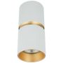 Downlight natynkowy CEILING SPOT S161 1x40w/GU10 IP20 od Zambelis