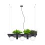 Lampa wisząca Plant 5555 40W/3xE14|2xgu10 IP20 od Zuma Line