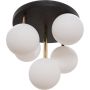 Lampa sufitowa ALI 5645 5x40W/G9 IP20 od Zuma line