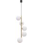 Lampa wisząca ALI 5648 5x40W/G9 IP20 od Zuma line