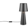 Lampa stołowa NUBIAN 562900132 1x10w/e27 ip20 od Trio