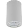 Downlight natynkowy TOP 5766 1x10W/GU10 IP20 od TK Lighting