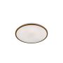 Plafon Jaso 20887 3000K 1x22W/LED 2700 lm IP20 od Fischer&Honsel