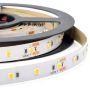 Taśma LED LED STRIP LS31 3000K IP20 od Zambelis