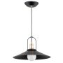 Lampa wisząca ARGO 60941 1x60W/E27 od Alfa