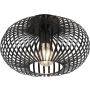 Lampa sufitowa JOHANN 606903032 1x60w/e27 ip20 od Trio
