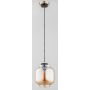 Lampa wisząca LATOR 60879 1x60W/E27 od Alfa