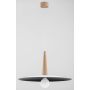 Lampa wisząca TORRES 60901 1x60W/E27 od Alfa