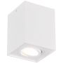 Downlight natynkowy BISCUIT 613000131 1x35w/gu10 ip20 od Trio