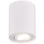 Downlight natynkowy COOKIE 612900131 1x35w/gu10 ip20 od Trio