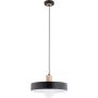 Lampa wisząca NEWADA 61451 1xE27 od Alfa
