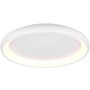 Lampa sufitowa CARDONA 649617531 2300+3000+4000k 1x59w/led 6900lm ip20 od Trio