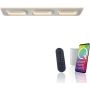 Lampa sufitowa Q-KALINA 6505-16 2700-5000k 1x61W/LED 6700lm ip20 od Paul Neuhaus