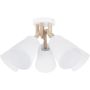 Plafon 666 VAIO od TK Lighting