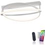 Lampa sufitowa Q-BELUGA 6739-55 2700-5000k 1x43W/LED 4800lm ip20 od Paul Neuhaus