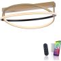 Lampa sufitowa Q-BELUGA 6739-60 2700-5000k 1x43W/LED 4800lm ip20 od Paul Neuhaus
