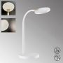 Lampka biurkowa Luna 50595 3000K 1x5W/LED 600 lm IP20 od Fischer&Honsel