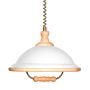 Lampa wisząca ACRYL WOOD 73006 W50 1x60W/E27 IP20 od Prezent