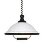 Lampa wisząca ACRYL WOOD 73006 W52 1x60W/E27 IP20 od Prezent