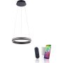 Lampa wisząca Q-VITO 8410-13 2700-5000k 1x33W/LED 3250lm ip20 od Paul Neuhaus