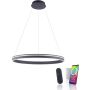 Lampa wisząca Q-VITO 8412-13 2700-5000k 1x65W/LED 7000lm ip20 od Paul Neuhaus