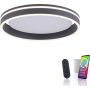 Lampa sufitowa Q-VITO 8414-13 2700-5000k 1x33W/LED 3250lm ip20 od Paul Neuhaus